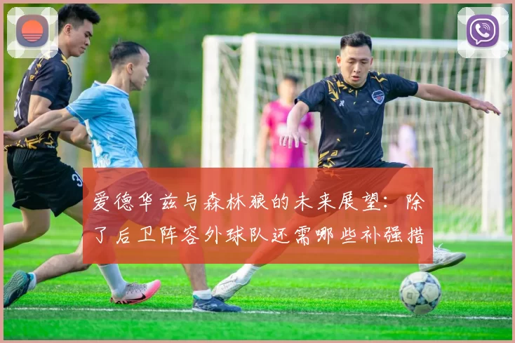 爱德华兹与森林狼的未来展望：除了后卫阵容外球队还需哪些补强措施
